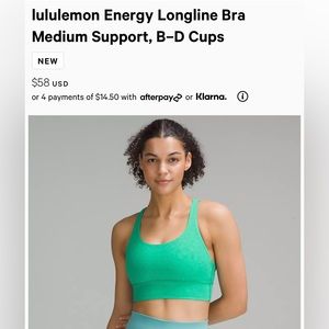 NWT Lululemon Brown Energy Bra Longline *Nulux Wash Size 4